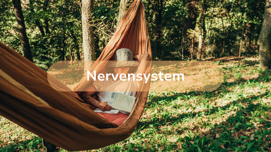 Das Nervensystem (entspannte Frau in Hängematte)