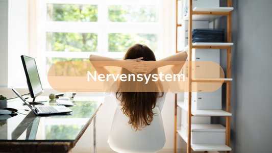 Das Nervensystem (entspannte Frau am Schreibtisch)