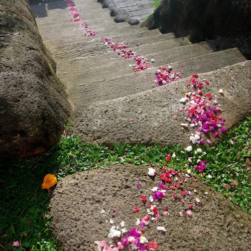 Blütenblätter auf einer Treppe (Retreat in der Ägais: Lustbewusst - die Macht der weiblichen Lust by Violeta Labella)