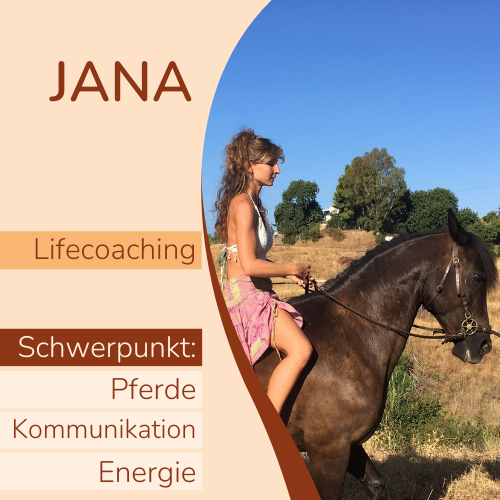 Coaching - verbinde dich energetisch mit deinem Pferd
