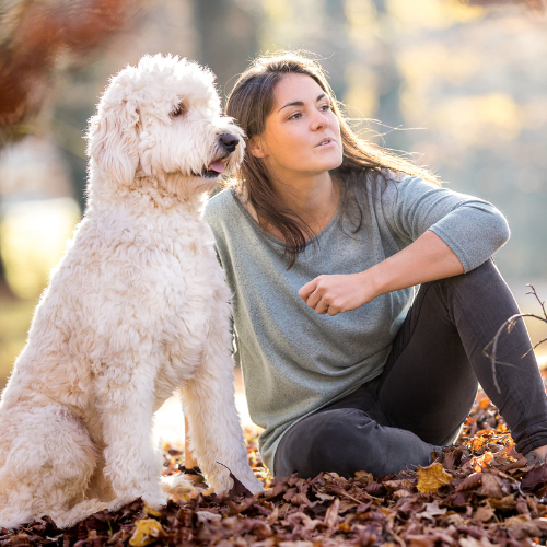 Bild Martina mit Hund (90 Minuten Coaching - Der Weg zu deinem glücklichen Hund geht über dich)
